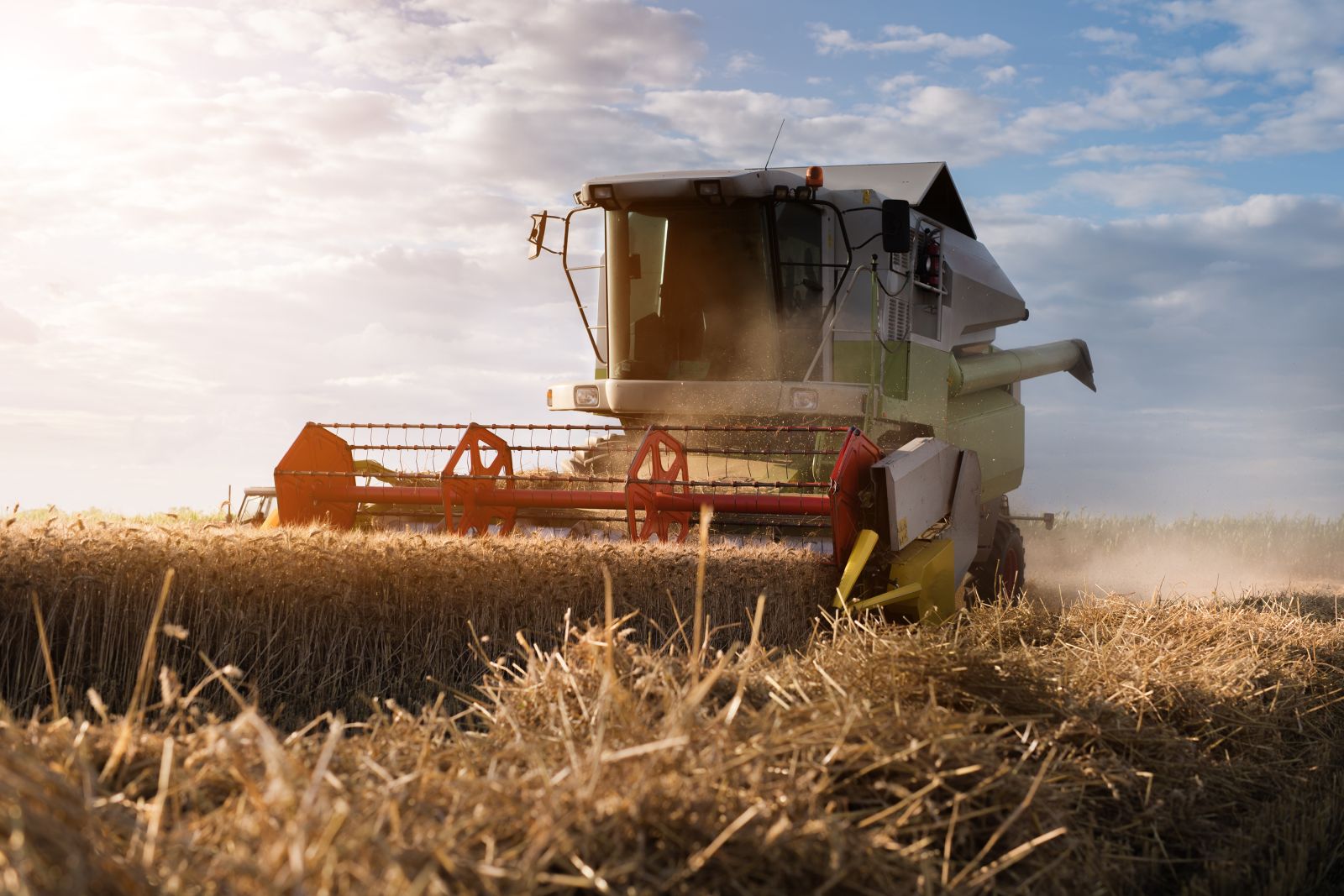 Harvesting wheat with combine by fotokostic via iStock